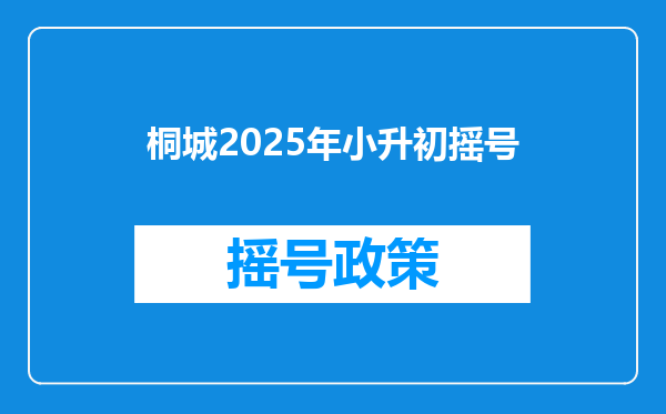 桐城2025年小升初摇号