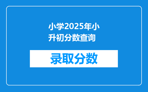 小学2025年小升初分数查询