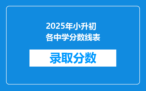 2025年小升初各中学分数线表