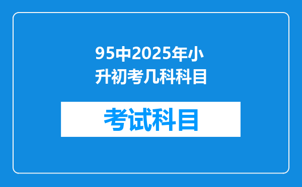 95中2025年小升初考几科科目