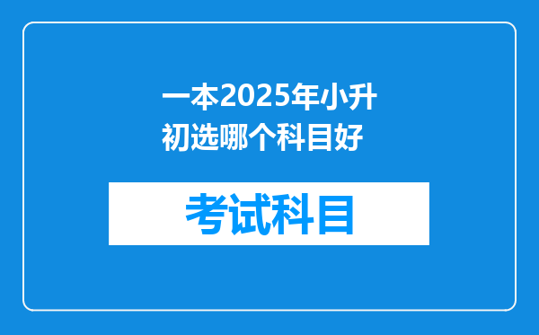 一本2025年小升初选哪个科目好
