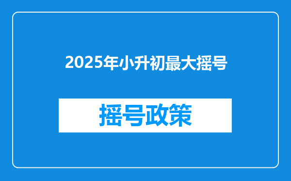 2025年小升初最大摇号