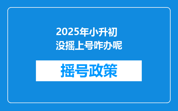 2025年小升初没摇上号咋办呢