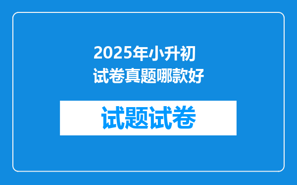 2025年小升初试卷真题哪款好