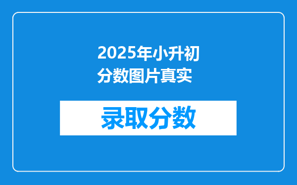 2025年小升初分数图片真实