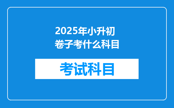 2025年小升初卷子考什么科目