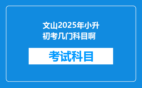 文山2025年小升初考几门科目啊