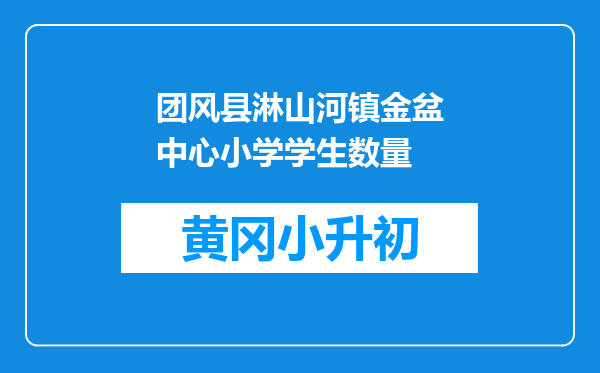 团风县淋山河镇金盆中心小学学生数量