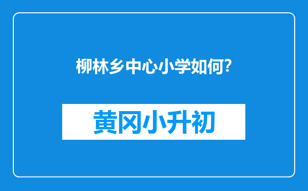柳林乡中心小学如何？