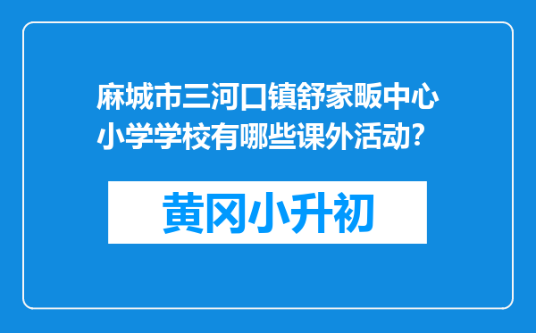 麻城市三河口镇舒家畈中心小学学校有哪些课外活动？