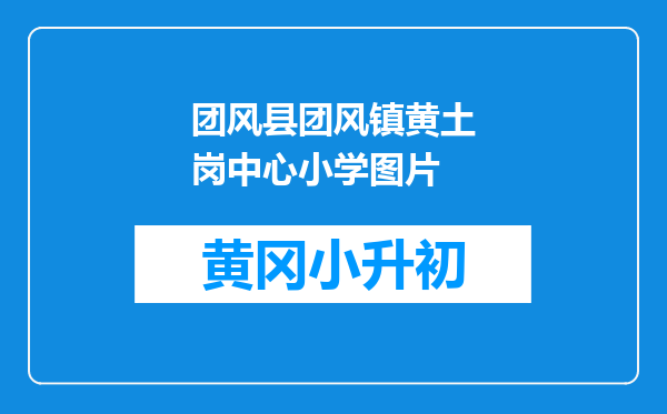 团风县团风镇黄土岗中心小学图片