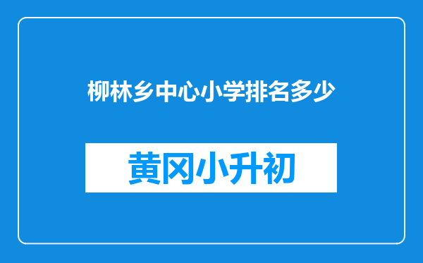 柳林乡中心小学排名多少