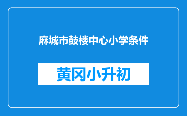 麻城市鼓楼中心小学条件
