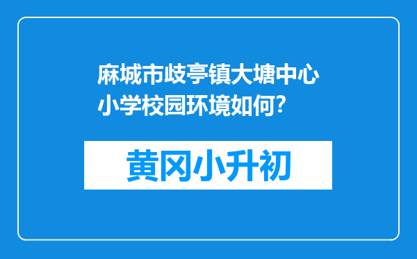 麻城市歧亭镇大塘中心小学校园环境如何？