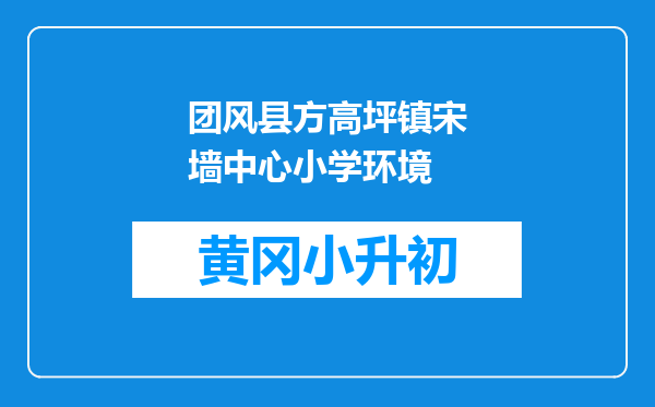 团风县方高坪镇宋墙中心小学环境