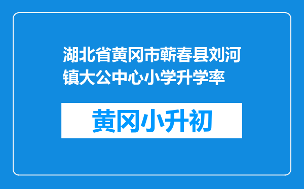 湖北省黄冈市蕲春县刘河镇大公中心小学升学率