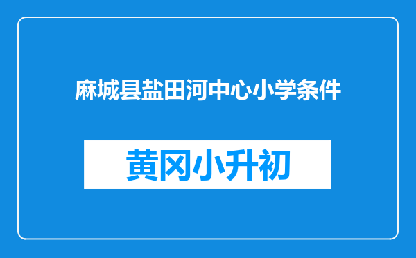 麻城县盐田河中心小学条件