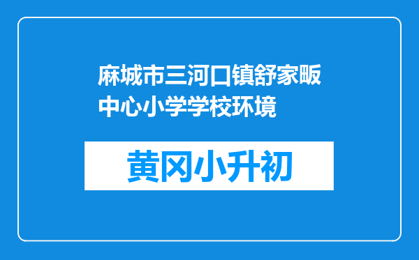 麻城市三河口镇舒家畈中心小学学校环境