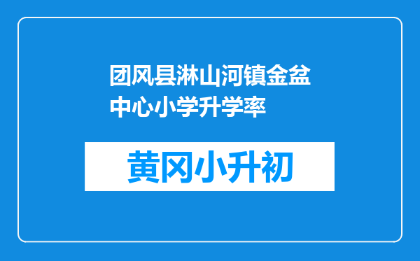 团风县淋山河镇金盆中心小学升学率