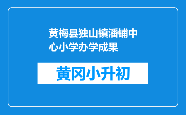 黄梅县独山镇潘铺中心小学办学成果