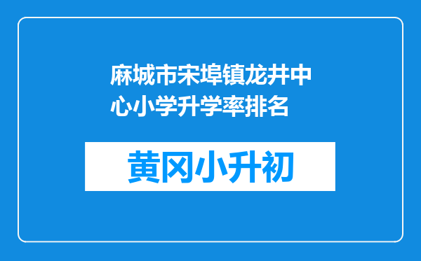 麻城市宋埠镇龙井中心小学升学率排名