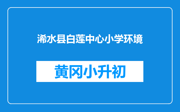 浠水县白莲中心小学环境