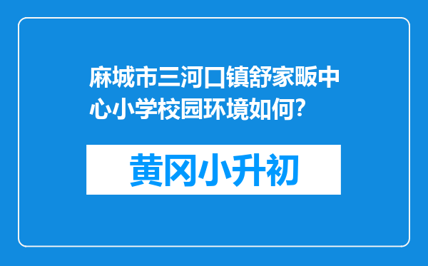 麻城市三河口镇舒家畈中心小学校园环境如何？