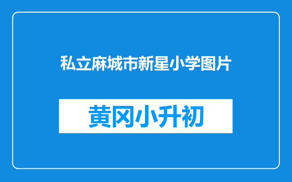 私立麻城市新星小学图片