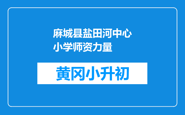 麻城县盐田河中心小学师资力量