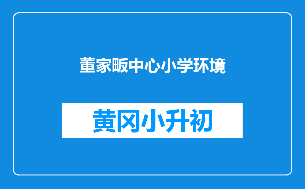 董家畈中心小学环境