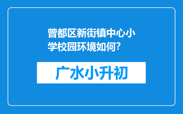 曾都区新街镇中心小学校园环境如何？