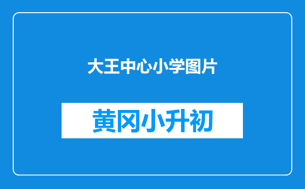 大王中心小学图片