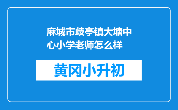 麻城市歧亭镇大塘中心小学老师怎么样