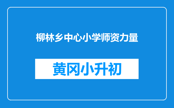 柳林乡中心小学师资力量