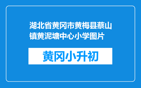湖北省黄冈市黄梅县蔡山镇黄泥塘中心小学图片
