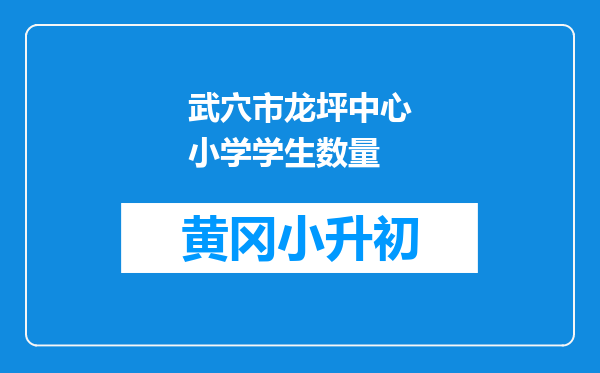 武穴市龙坪中心小学学生数量