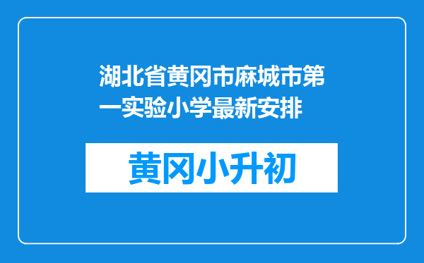 湖北省黄冈市麻城市第一实验小学最新安排