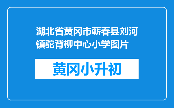 湖北省黄冈市蕲春县刘河镇驼背柳中心小学图片