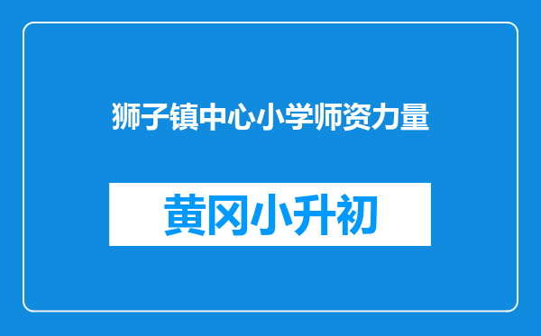 狮子镇中心小学师资力量
