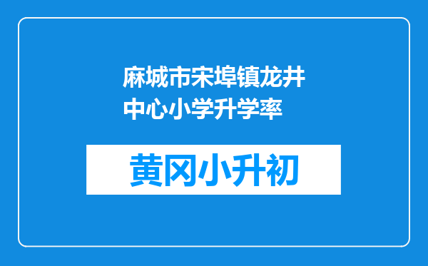 麻城市宋埠镇龙井中心小学升学率
