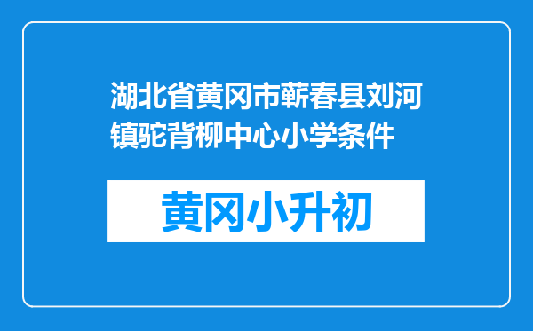 湖北省黄冈市蕲春县刘河镇驼背柳中心小学条件