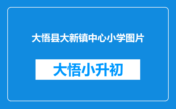 大悟县大新镇中心小学图片
