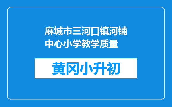 麻城市三河口镇河铺中心小学教学质量