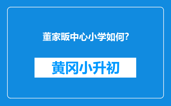 董家畈中心小学如何？