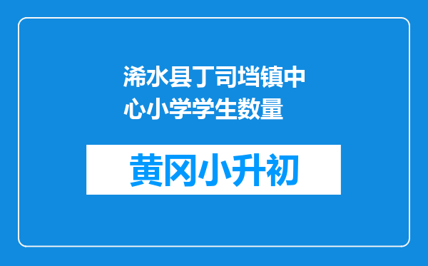 浠水县丁司垱镇中心小学学生数量