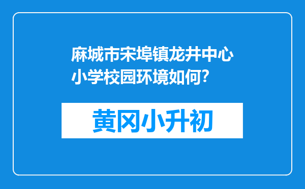 麻城市宋埠镇龙井中心小学校园环境如何？