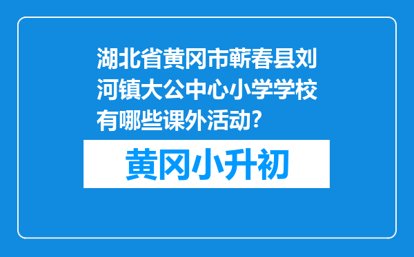 湖北省黄冈市蕲春县刘河镇大公中心小学学校有哪些课外活动？