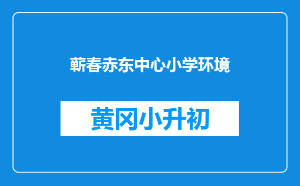 蕲春赤东中心小学环境