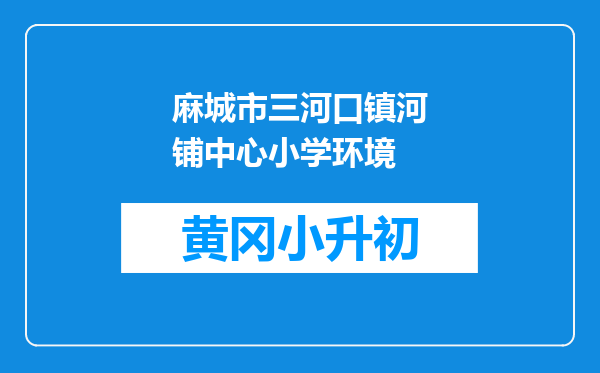 麻城市三河口镇河铺中心小学环境