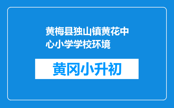 黄梅县独山镇黄花中心小学学校环境